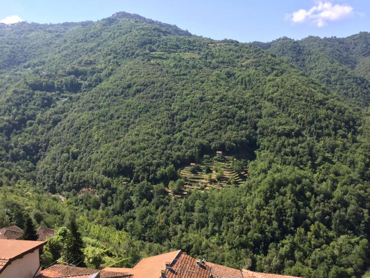 House In The Medieval Village Apricale Exterior foto